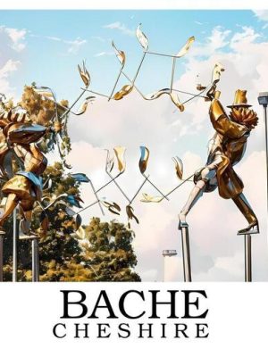 Bache_border_writing_bottom_sample
