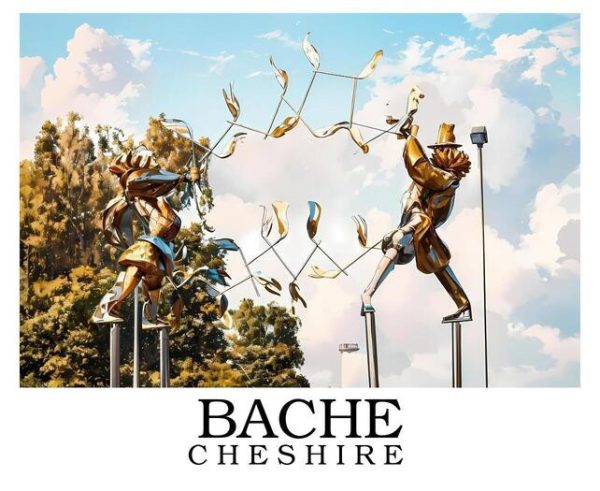Bache_border_writing_bottom_sample