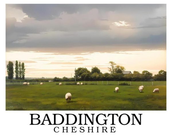 Baddington_border_writing_bottom_sample