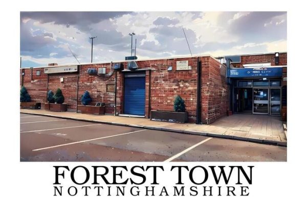 Forest_Town_border_writing_bottom_sample