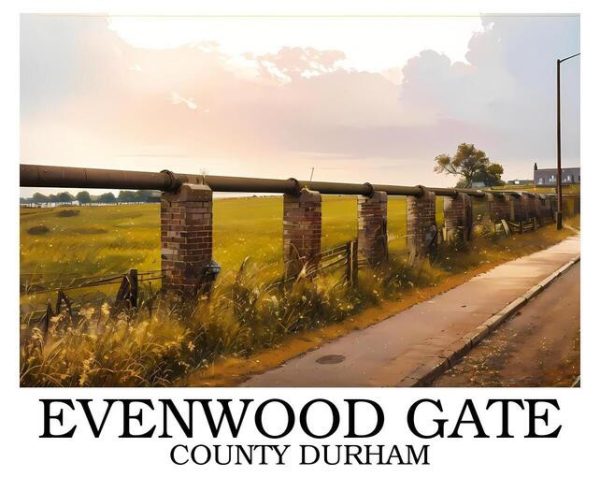Evenwood_Gate_border_writing_bottom_sample-1