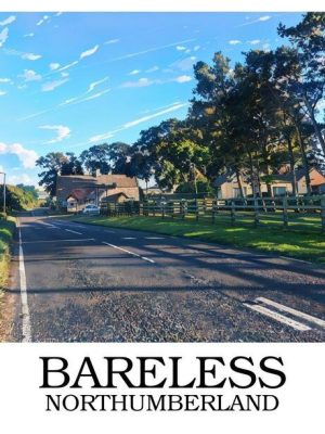 Bareless_border_writing_bottom_sample