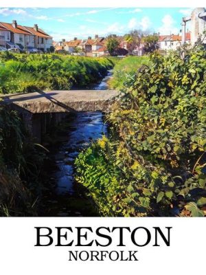 Beeston_border_writing_bottom_sample