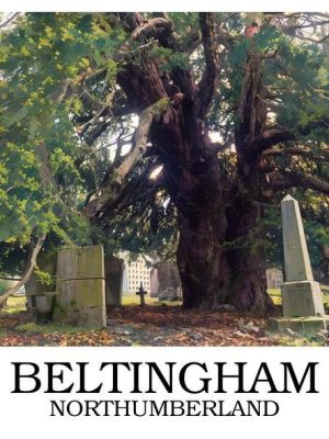 Beltingham_border_writing_bottom_sample