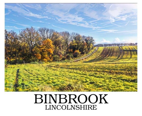 Binbrook_border_writing_bottom_sample