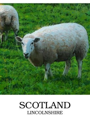 Scotland_border_writing_bottom_sample