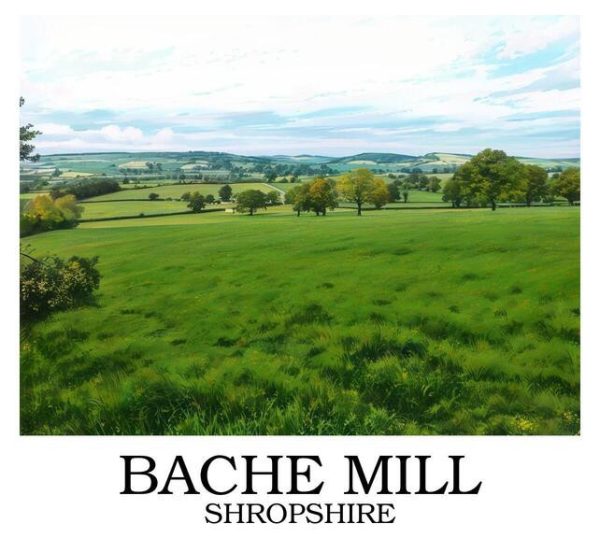 Bache_Mill_border_writing_bottom_sample