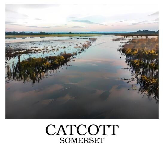 Catcott Somerset art poster - Village Visions