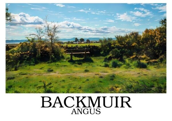 Backmuir_border_writing_bottom_sample