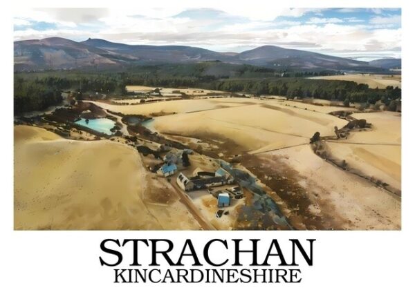 Strachan_border_writing_bottom_sample